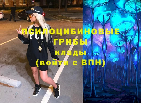 не бодяженный Богородск