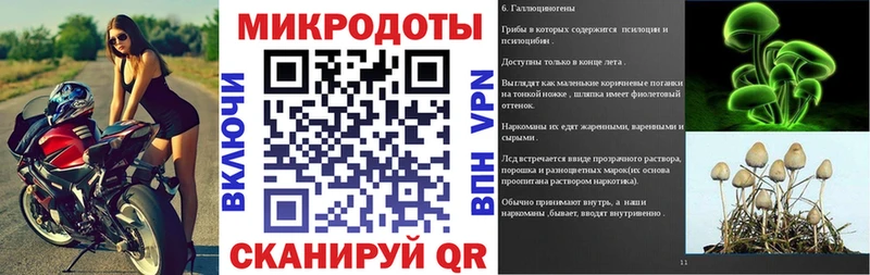 Псилоцибиновые грибы мицелий Купить где Куртамыш